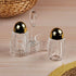 Acrylic Salt and Pepper Shakers Set with tray for Dining Table (10705)