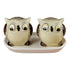 Ceramic Salt and Pepper Shakers Set with tray for Dining Table (10704)