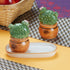 Ceramic Salt Pepper Container Set with tray (9983)