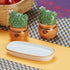 Ceramic Salt Pepper Container Set with tray (9983)