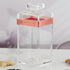 Acrylic Airtight Canister Jar & Container for Kitchen Food Storage, Used for Store Uncooked Rice, Cereal, Pasta, Coffee, Tea, Flour, Sugar (Pack of 1) (11207)