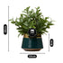 Artificial Flower Plant for Home, Office, & Event Decor (11469)