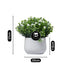 Artificial Flower Plant for Home, Office, & Event Decor (11479)