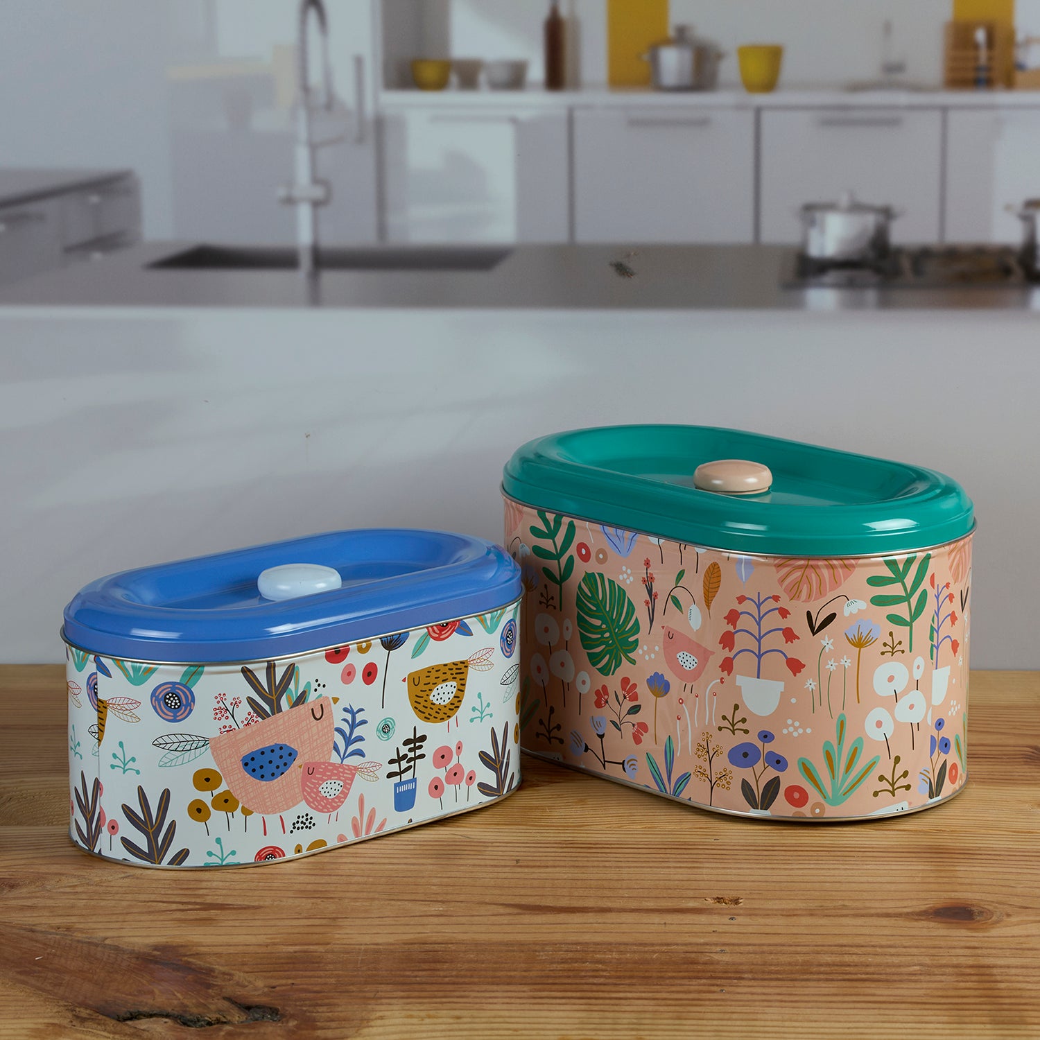 Tin Boxes Set of 2, Cookie, Biscuit and Snack Storage Tins (V-TIN-002)