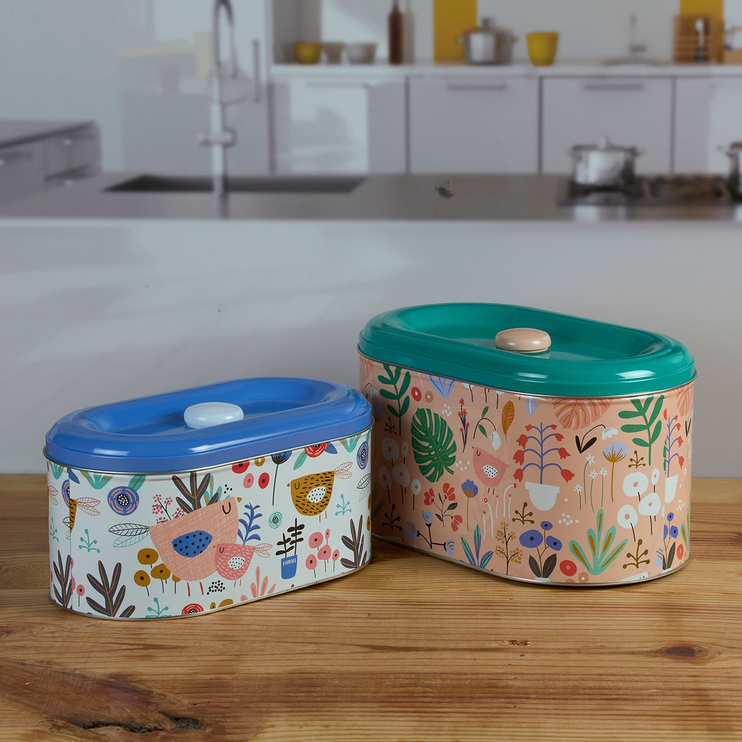 Tin Boxes Set of 2, Cookie, Biscuit and Snack Storage Tins (11598)