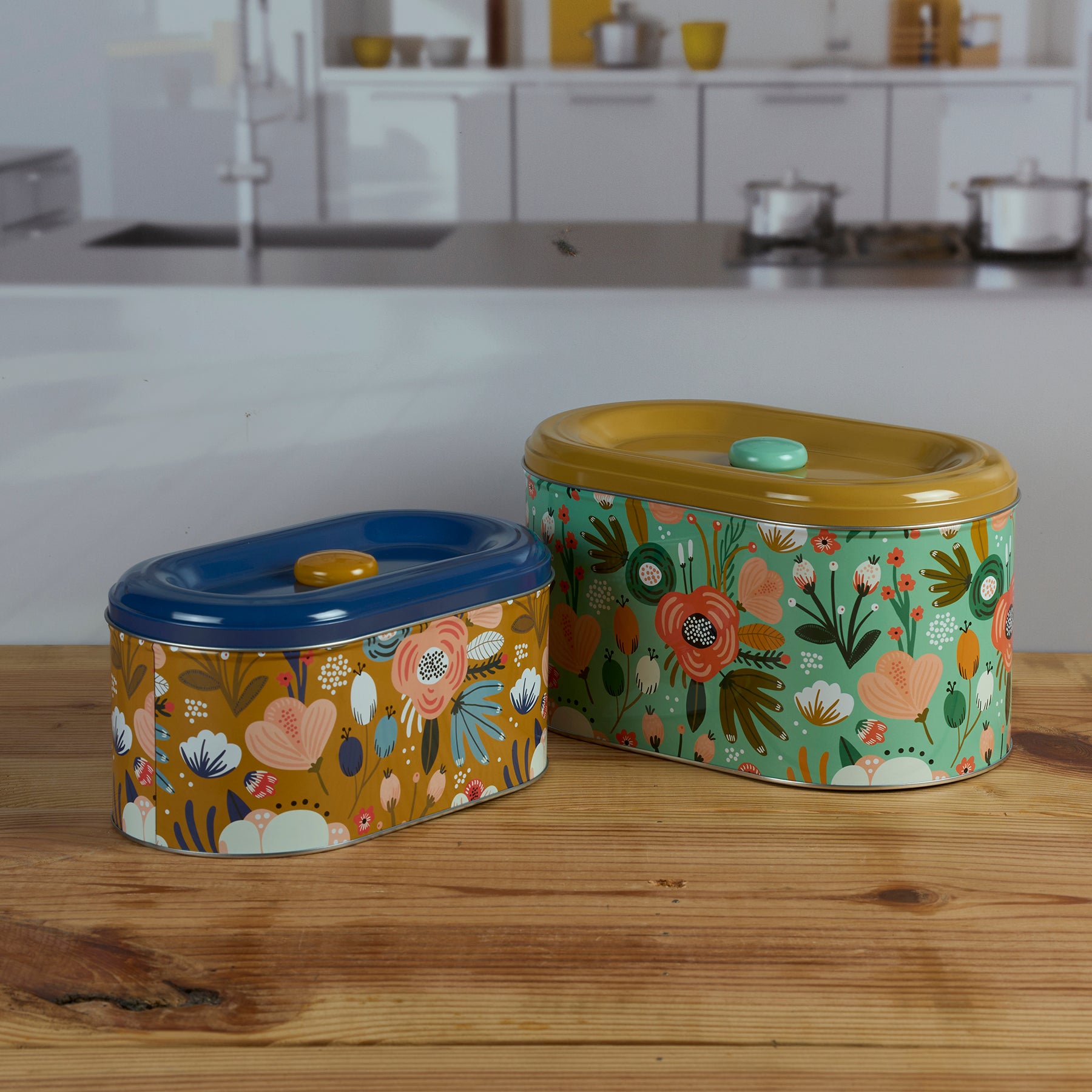 Tin Boxes Set of 2, Cookie, Biscuit and Snack Storage Tins (V-TIN-002)