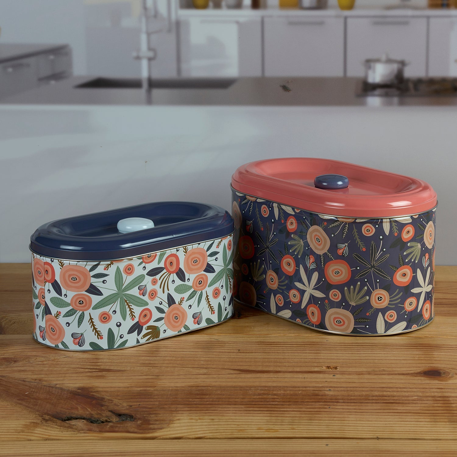 Tin Boxes Set of 2, Cookie, Biscuit and Snack Storage Tins (11598)