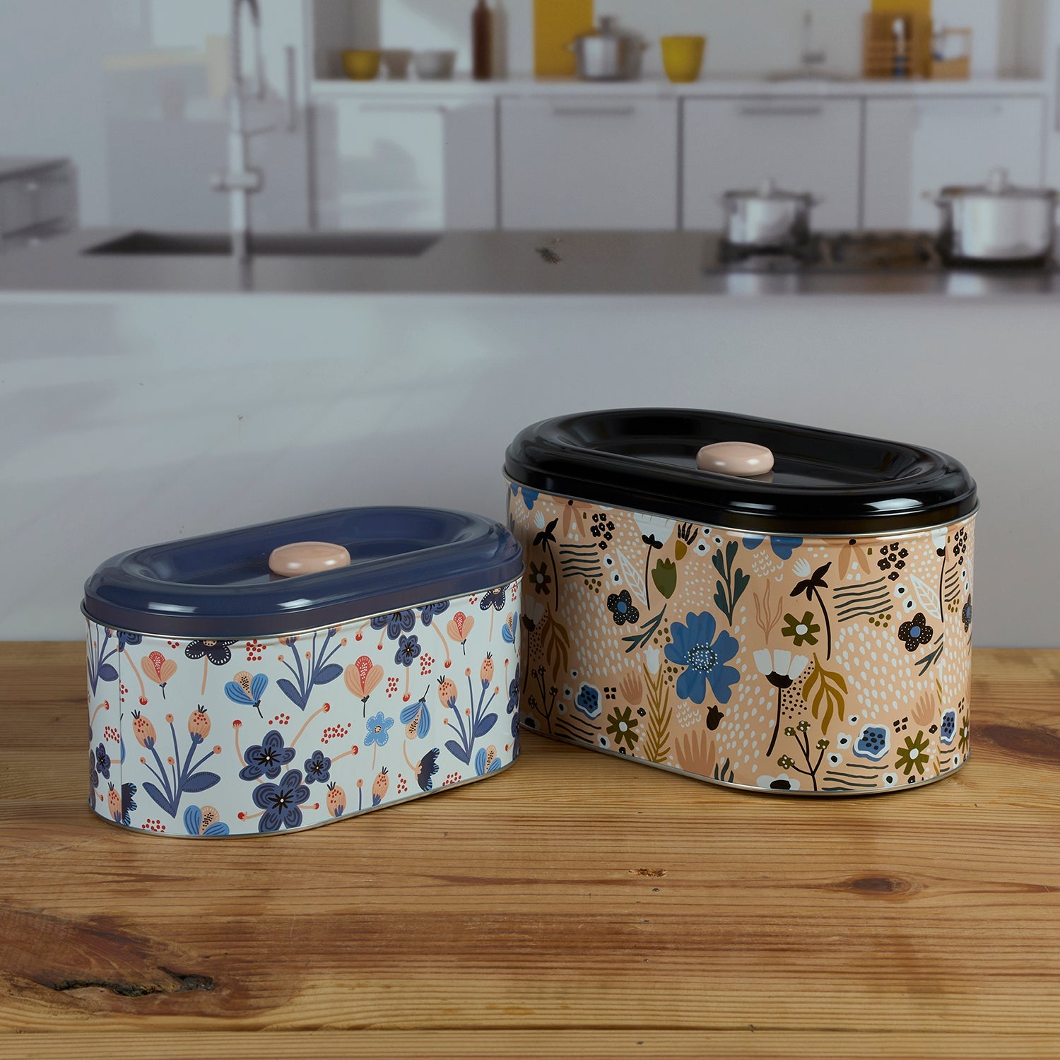 Tin Boxes Set of 2, Cookie, Biscuit and Snack Storage Tins (11598)