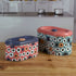 Tin Boxes Set of 2 â€“ Cookie, Biscuit, and Snack Storage Tins (12000)