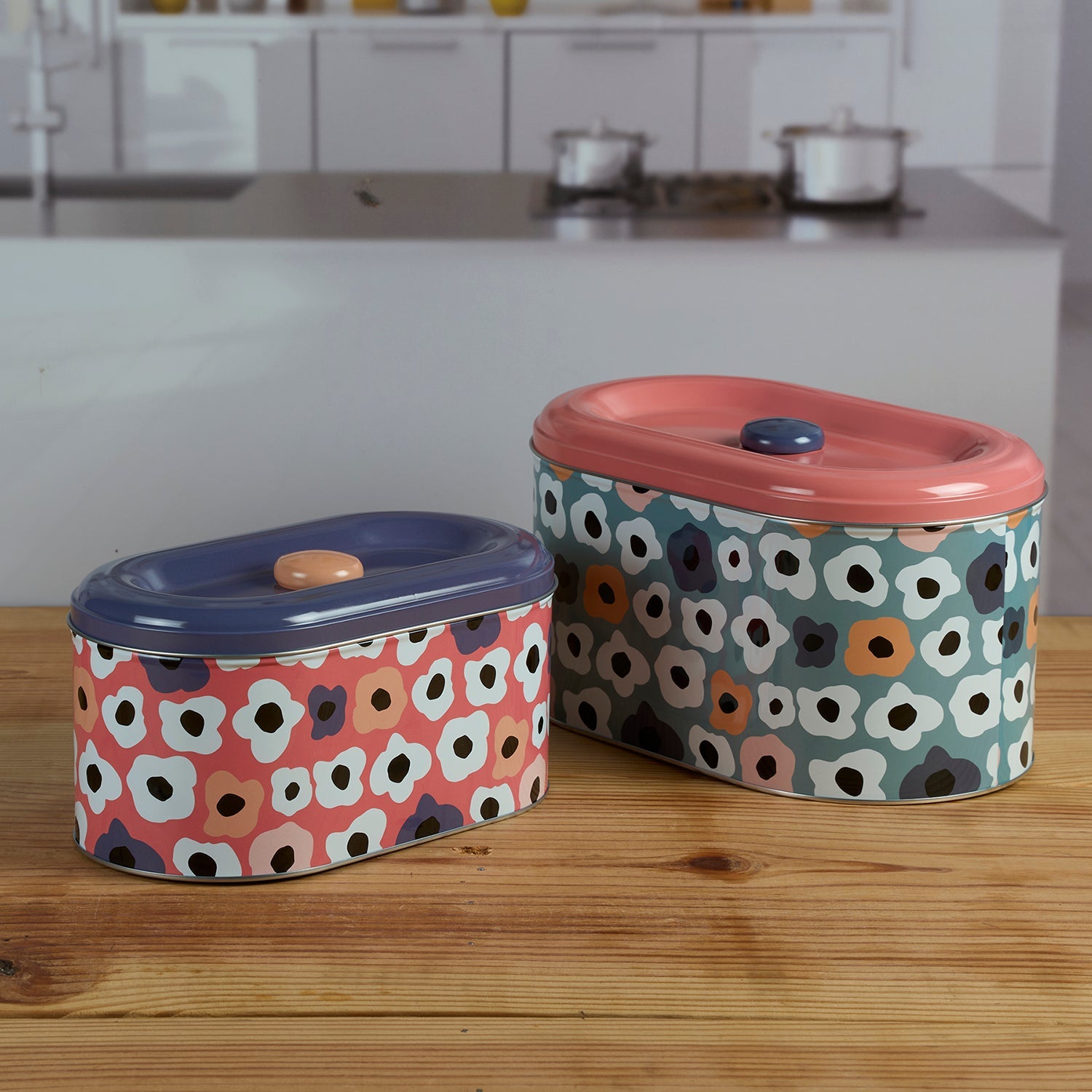 Tin Boxes Set of 2 – Cookie, Biscuit, and Snack Storage Tins (12000)