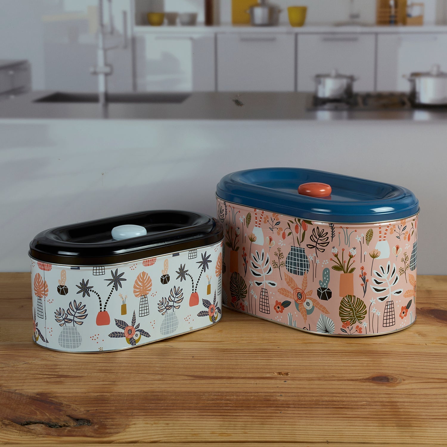 Tin Boxes Set of 2, Cookie, Biscuit and Snack Storage Tins (11598)