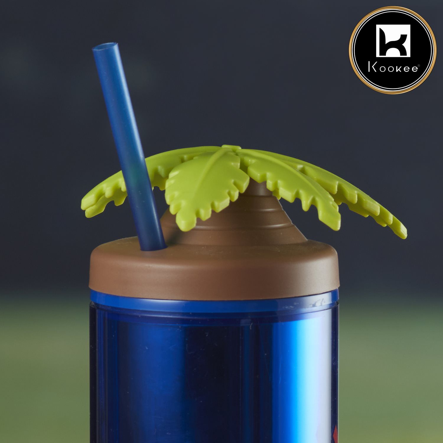 Acrylic Sipper, Cup, Tumbler Frosted with Straw and Lid, 275ml (V-SIPR-002)