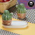 Ceramic Salt Pepper Container Set with tray (9982)