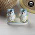 Ceramic Salt and Pepper Set with tray, Owl Design, Blue (10285)