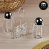 Acrylic Salt and Pepper Shakers Set with tray for Dining Table (10059)