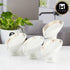 Ceramic Soap Holder Dish, Set of 1 Bathroom Accessories for Home, White (11170)