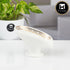 Ceramic Soap Holder Dish, Set of 1 Bathroom Accessories for Home, White (11172)