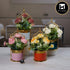 Artificial Flower Plant for Home, Office, & Event Decor (11460)