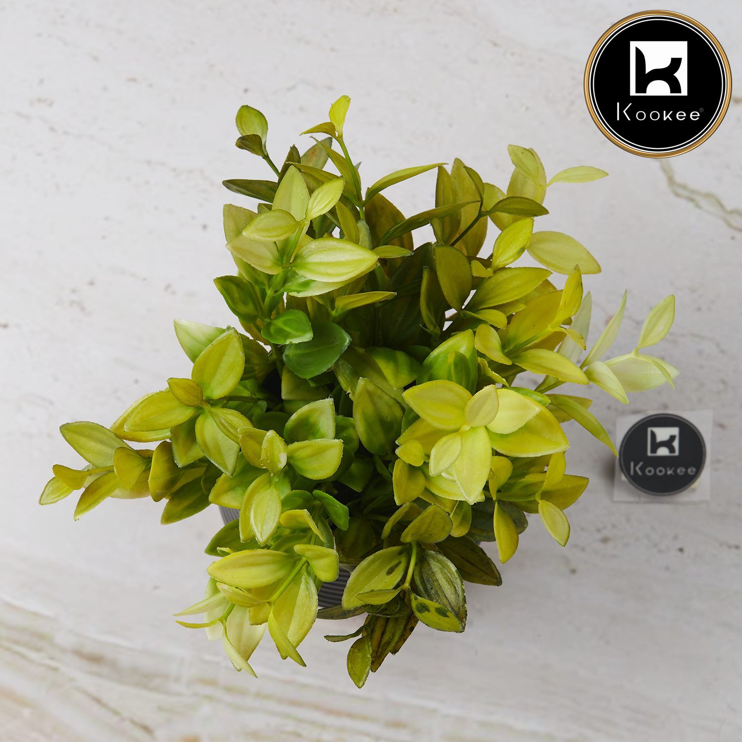 Kookee Artificial Plants, Black, ART11468