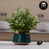 Artificial Flower Plant for Home, Office, & Event Decor (11469)