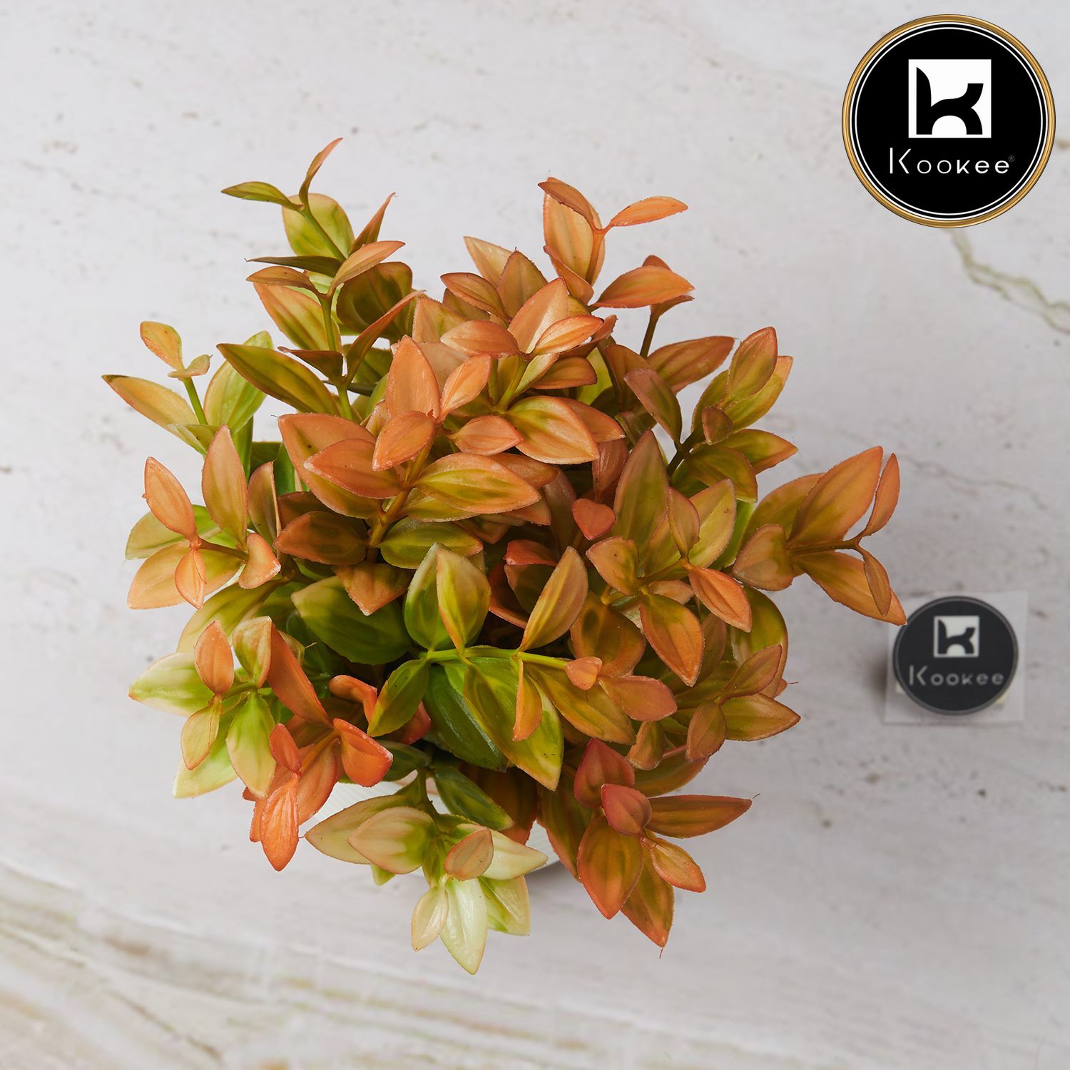 Kookee Artificial Plants, White, ART11473