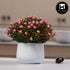 Artificial Flower Plant for Home, Office, & Event Decor (11478)