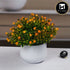 Artificial Flower Plant for Home, Office, & Event Decor (11481)