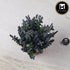 Artificial Flower Plant for Home, Office, & Event Decor (11483)