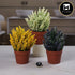 Artificial Flower Plant for Home, Office, & Event Decor (11484)