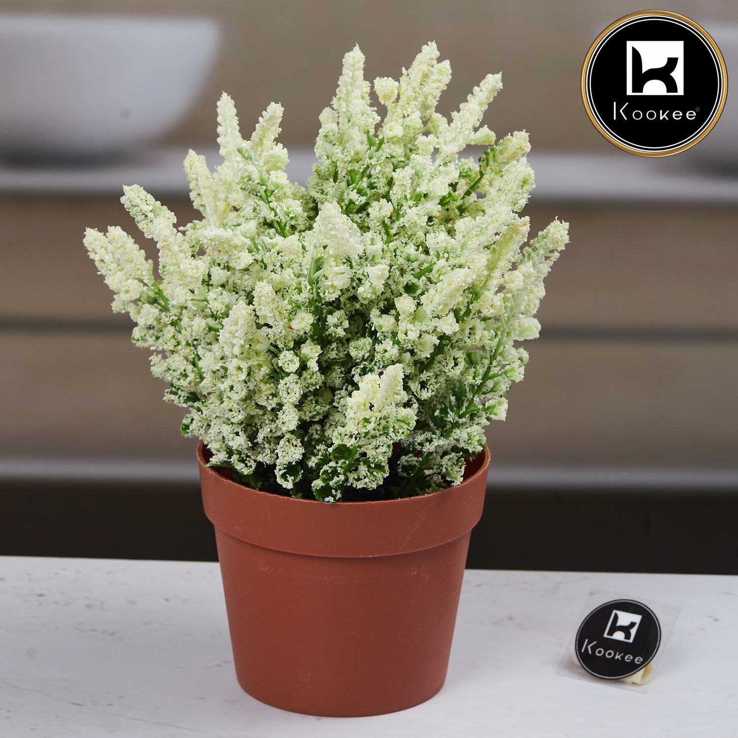 Kookee Artificial Plants, Brown, ART11485