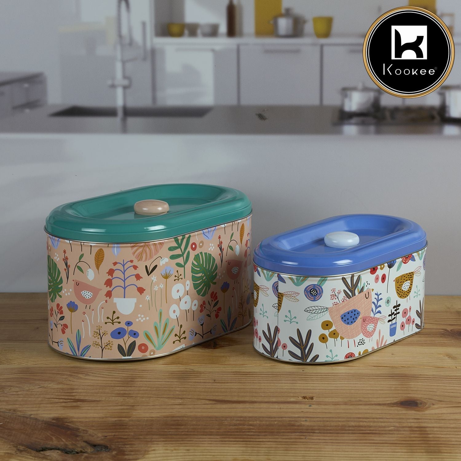 Tin Boxes Set of 2, Cookie, Biscuit and Snack Storage Tins (11598)