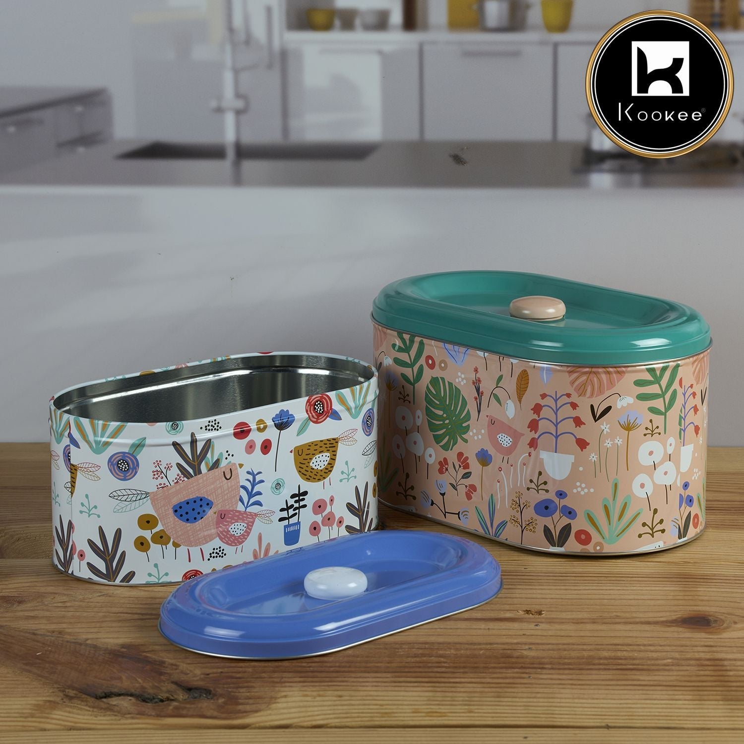 Tin Boxes Set of 2, Cookie, Biscuit and Snack Storage Tins (11598)