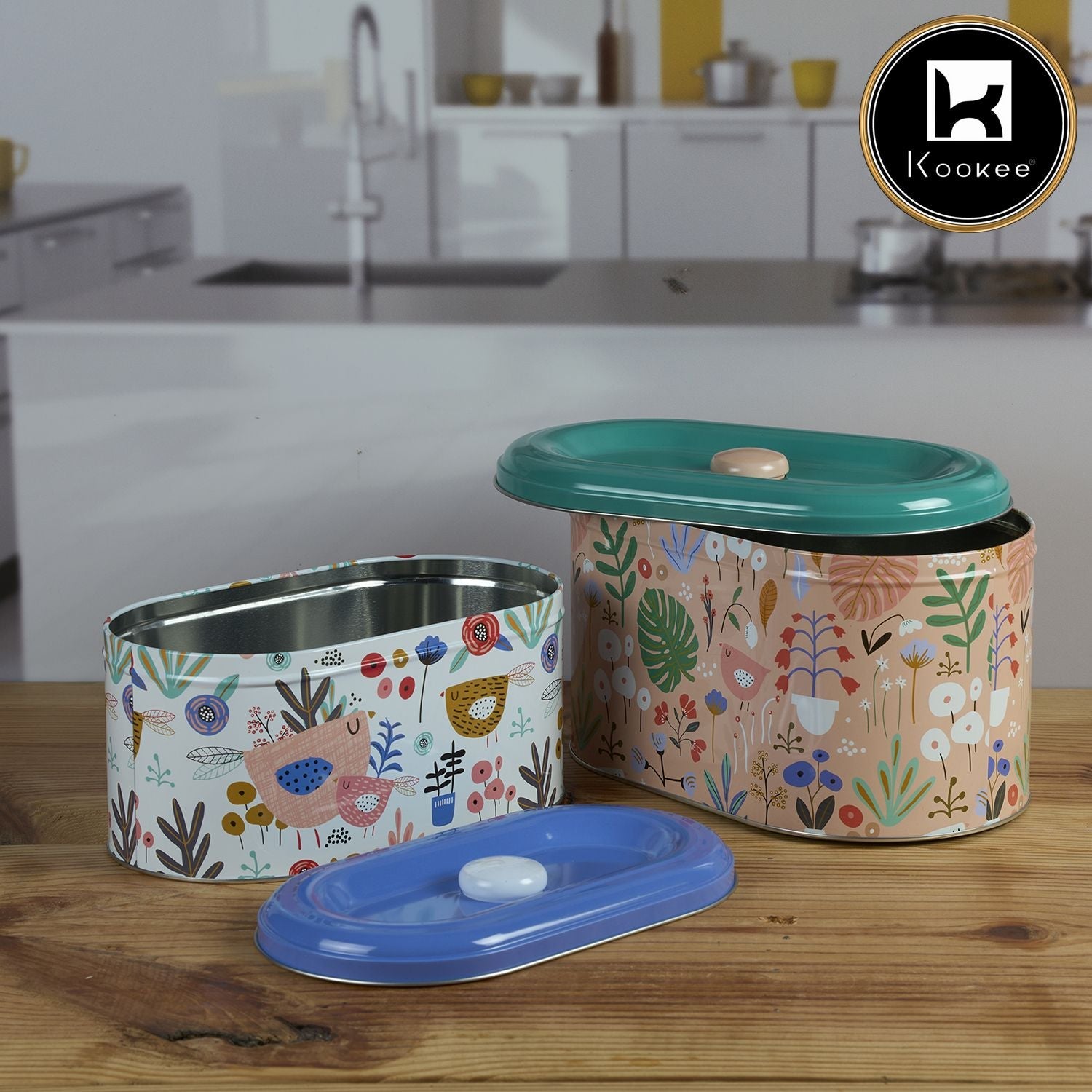 Tin Boxes Set of 2, Cookie, Biscuit and Snack Storage Tins (11598)