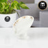 Ceramic Soap Dish Set of 4 Bathroom Accessories for Home, White (11620)