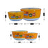 Plastic Airtight Food Storage Container with Lid, Set of 4, Round, Orange