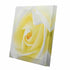 Canvas Modern Wall Art, Rose Painting for Home Living Room (1588)